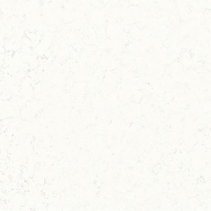Carrara-TS5813