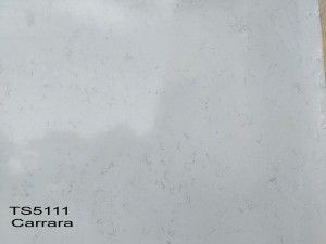 Carrara-TS5111_Breton Tech