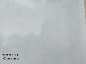 Carrara TS5111