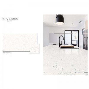 Carrara-TS5813