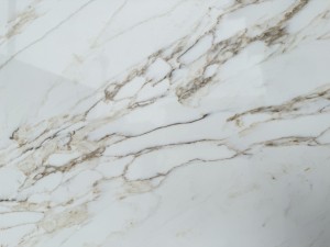 Calacatta TS6732
